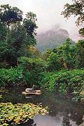 Estanque en el Kirstenbosch