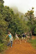 De paseo por el Kirstenbosch